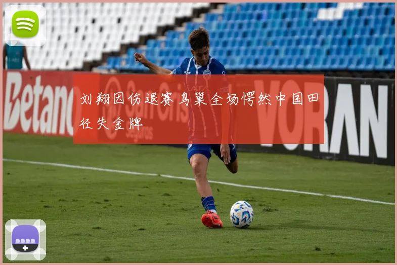 刘翔因伤退赛鸟巢全场愕然中国田径失金牌