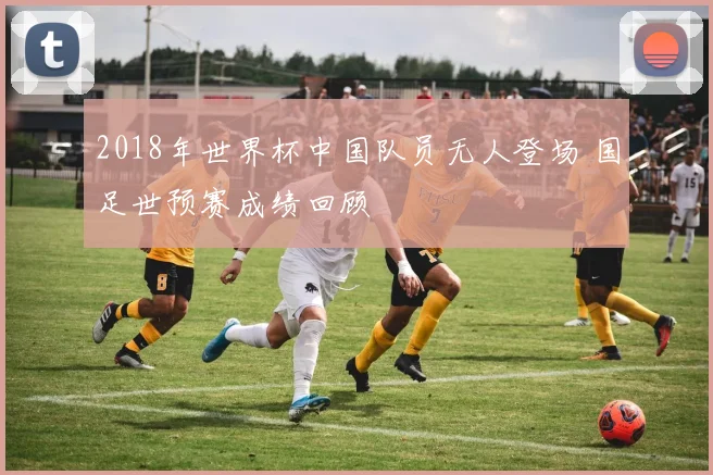 2018年世界杯中国队员无人登场 国足世预赛成绩回顾
