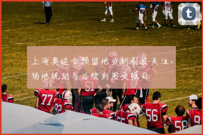 上海奥运会预留地分析引发关注,场地规划与后续利用受瞩目