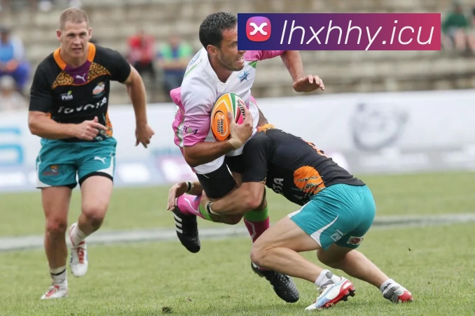 九游(NineGame)体育·官方网站 - 九游连接体育未来APP 封面图